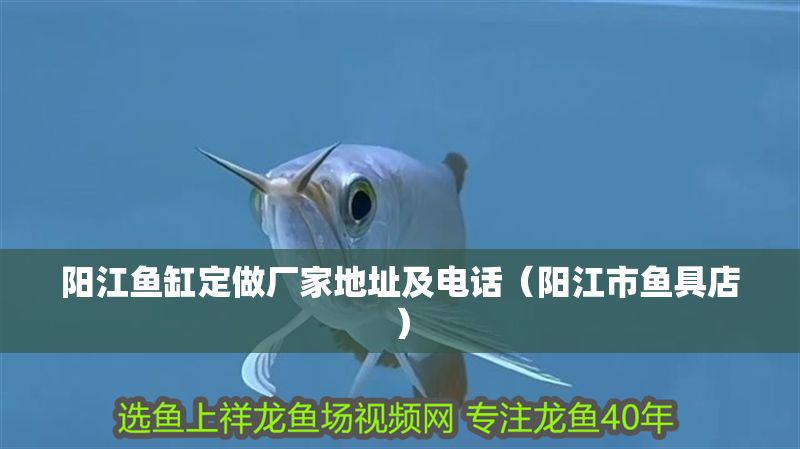陽江魚缸定做廠家地址及電話（陽江市魚具店）
