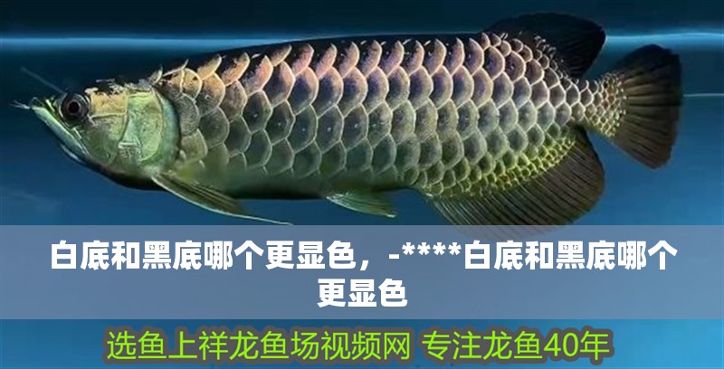 白底和黑底哪個更顯色，-****白底和黑底哪個更顯色