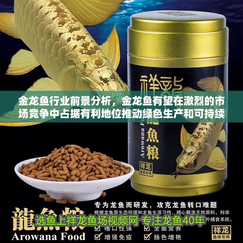 金龍魚行業前景分析，金龍魚有望在激烈的市場競爭中占據有利地位推動綠色生產和可持續發展