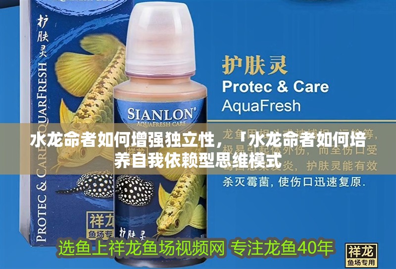 水龍命者如何增強獨立性，「水龍命者如何培養自我依賴型思維模式