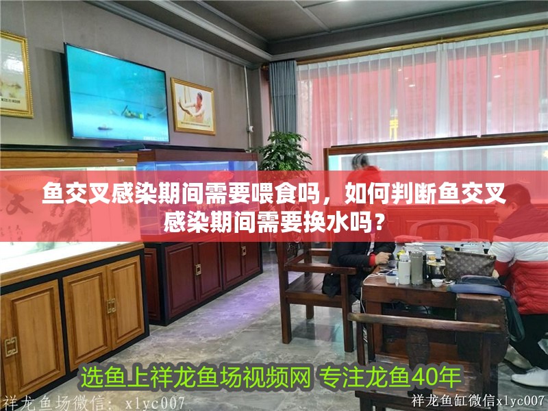魚交叉感染期間需要喂食嗎，如何判斷魚交叉感染期間需要換水嗎？