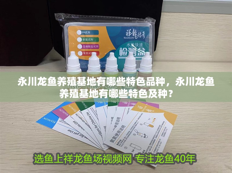 永川龍魚養殖基地有哪些特色品種，永川龍魚養殖基地有哪些特色及種？ 永川龍魚養殖基地有哪些特色品種，永川龍魚養殖基地有哪些特色及種？ 龍魚百科