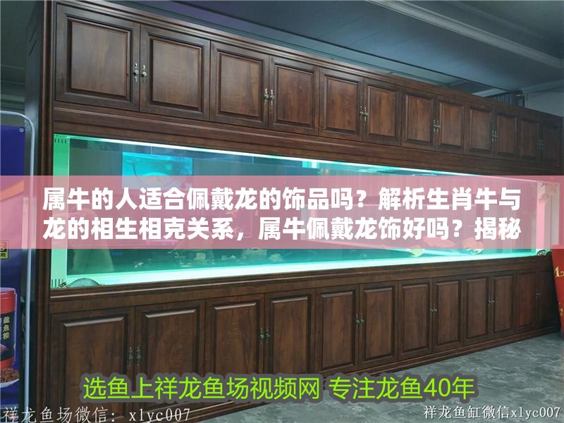 屬牛的人適合佩戴龍的飾品嗎？解析生肖牛與龍的相生相克關系，屬牛佩戴龍飾好嗎？揭秘生肖牛與龍的相生相克之道 屬牛的人適合佩戴龍的飾品嗎？解析生肖牛與龍的相生相克關系，屬牛佩戴龍飾好嗎？揭秘生肖牛與龍的相生相克之道 龍魚百科 第1張