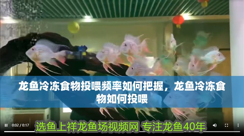 龍魚冷凍食物投喂頻率如何把握，龍魚冷凍食物如何投喂