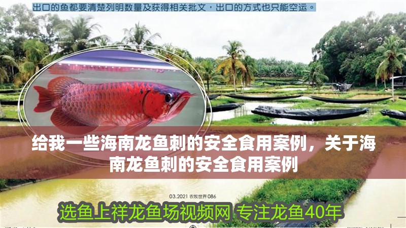 給我一些海南龍魚刺的安全食用案例，關于海南龍魚刺的安全食用案例 給我一些海南龍魚刺的安全食用案例，關于海南龍魚刺的安全食用案例 龍魚百科