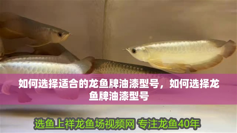 如何選擇適合的龍魚牌油漆型號，如何選擇龍魚牌油漆型號