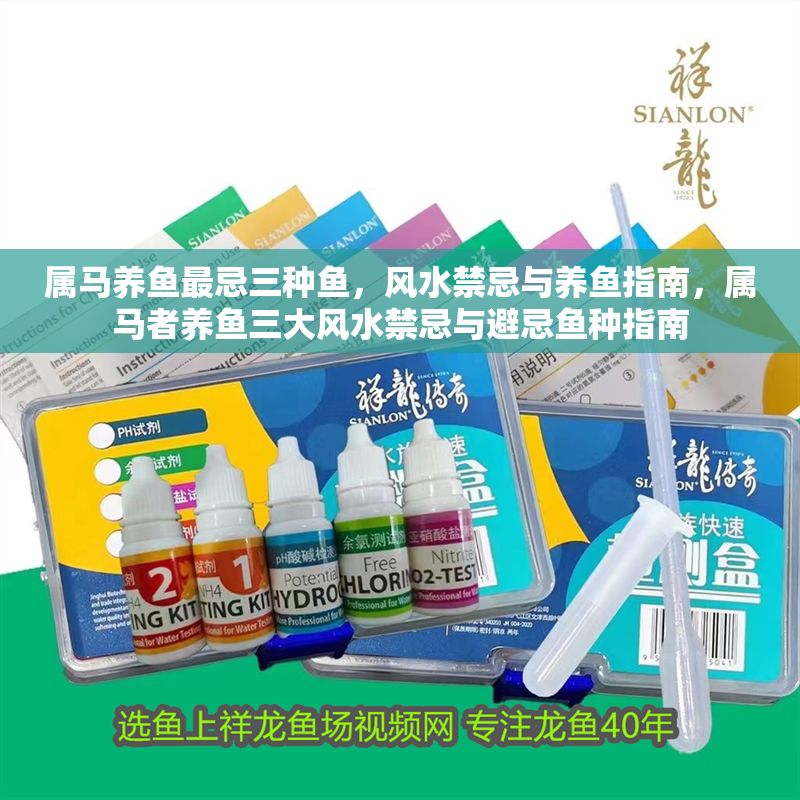 屬馬養(yǎng)魚最忌三種魚，風(fēng)水禁忌與養(yǎng)魚指南，屬馬者養(yǎng)魚三大風(fēng)水禁忌與避忌魚種指南