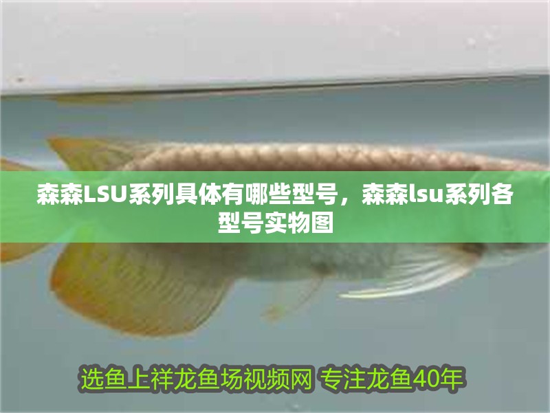 森森LSU系列具體有哪些型號，森森lsu系列各型號實物圖