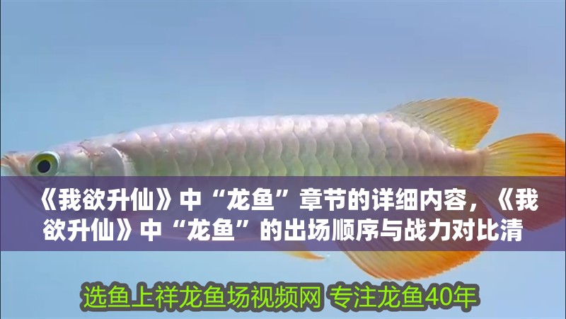《我欲升仙》中“龍魚”章節的詳細內容，《我欲升仙》中“龍魚”的出場順序與戰力對比清單？