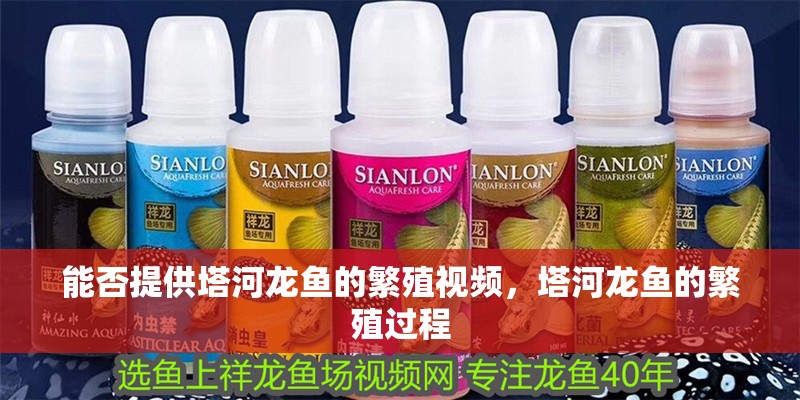 能否提供塔河龍魚的繁殖視頻，塔河龍魚的繁殖過程