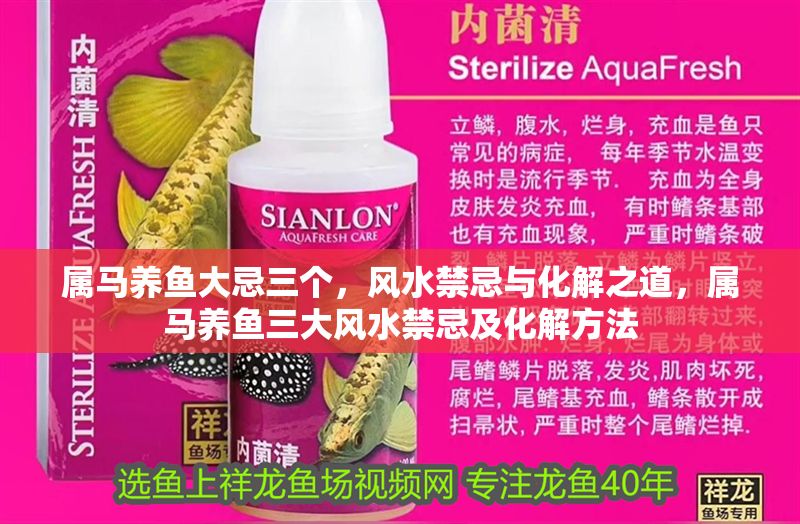屬馬養魚大忌三個，風水禁忌與化解之道，屬馬養魚三大風水禁忌及化解方法 屬馬養魚大忌三個，風水禁忌與化解之道，屬馬養魚三大風水禁忌及化解方法 龍魚百科 第1張