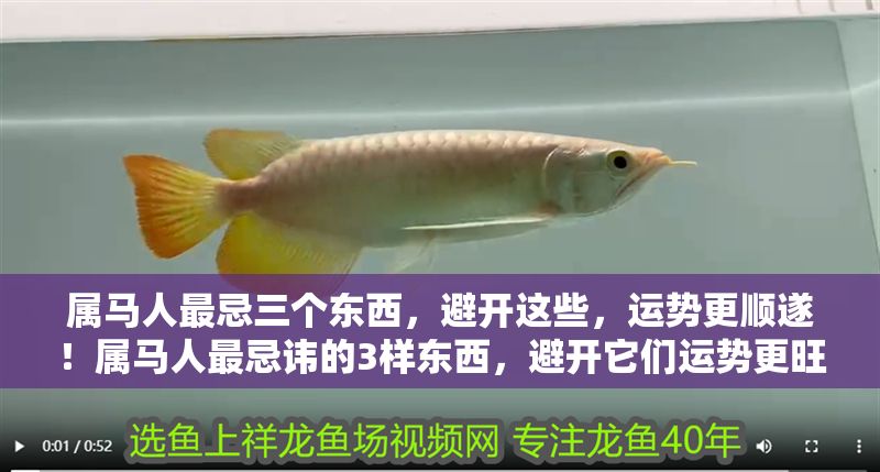 屬馬人最忌三個東西,避開這些,運(yùn)勢更順?biāo)欤亳R人最忌諱的3樣?xùn)|西,避開它們運(yùn)勢更旺! 龍魚百科 第1張 屬馬人最忌三個東西,避開這些,運(yùn)勢更順?biāo)欤亳R人最忌諱的3樣?xùn)|西,避開它們運(yùn)勢更旺! 屬馬人最忌三個東西,避開這些,運(yùn)勢更順?biāo)欤亳R人最忌諱的3樣?xùn)|西,避開它們運(yùn)勢更旺! 龍魚百科 第1張