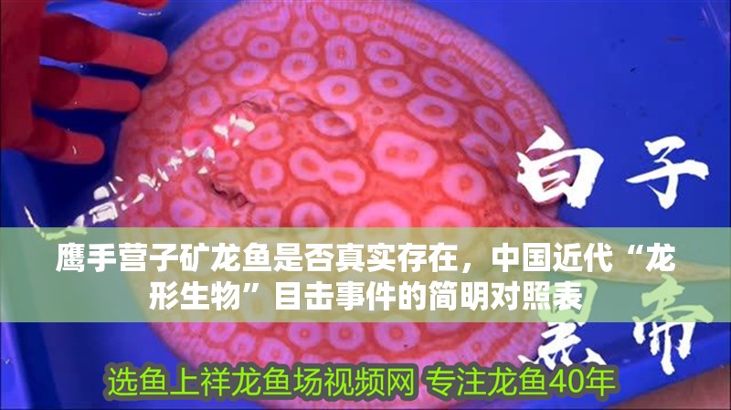 鷹手營子礦龍魚是否真實存在，中國近代“龍形生物”目擊事件的簡明對照表