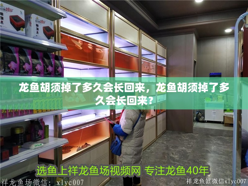 龍魚胡須掉了多久會長回來，龍魚胡須掉了多久會長回來？