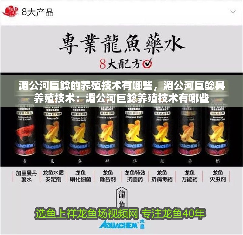 湄公河巨鯰的養殖技術有哪些，湄公河巨鯰具養殖技術：湄公河巨鯰養殖技術有哪些