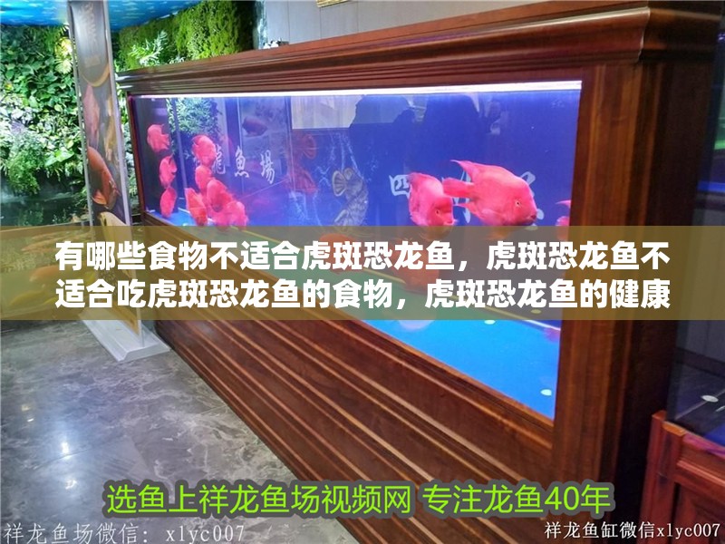 有哪些食物不適合虎斑恐龍魚，虎斑恐龍魚不適合吃虎斑恐龍魚的食物，虎斑恐龍魚的健康不利 有哪些食物不適合虎斑恐龍魚，虎斑恐龍魚不適合吃虎斑恐龍魚的食物，虎斑恐龍魚的健康不利 龍魚百科