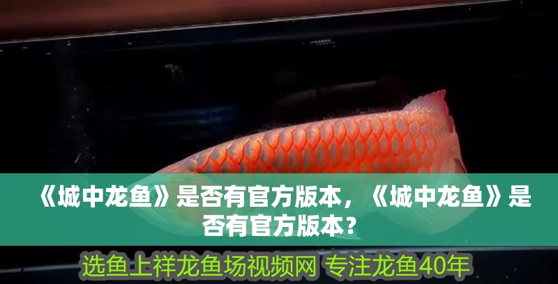 《<strong><mark>城中</mark></strong>龍魚》是否有官方版本，《<strong><mark>城中</mark></strong>龍魚》是否有官方版本？