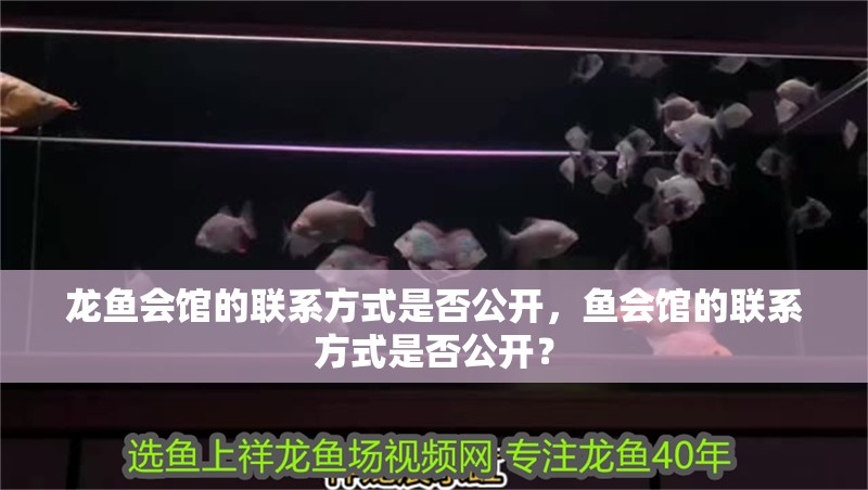 龍魚會館的聯系方式是否公開，魚會館的聯系方式是否公開？