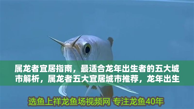 屬龍者宜居指南，最適合龍年出生者的五大城市解析，屬龍者五大宜居城市推薦，龍年出生者的最佳居住地解析