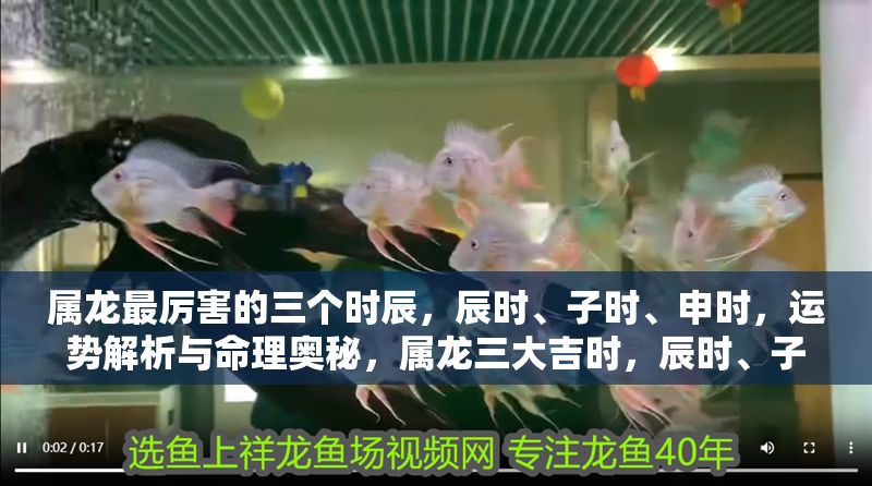 屬龍最厲害的三個時辰,辰時、子時、申時,運勢解析與命理奧秘,屬龍三大吉時,辰時、子時、申時運勢解析與命理玄機 龍魚百科 第1張 屬龍最厲害的三個時辰,辰時、子時、申時,運勢解析與命理奧秘,屬龍三大吉時,辰時、子時、申時運勢解析與命理玄機 屬龍最厲害的三個時辰,辰時、子時、申時,運勢解析與命理奧秘,屬龍三大吉時,辰時、子時、申時運勢解析與命理玄機 龍魚百科 第1張