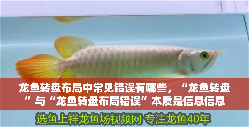 龍魚轉盤布局中常見錯誤有哪些，“龍魚轉盤”與“龍魚轉盤布局錯誤”本質是信息信息