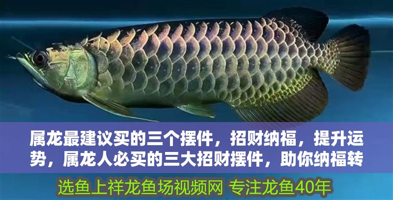屬龍最建議買的三個擺件，招財納福，提升運勢，屬龍人必買的三大招財擺件，助你納福轉運旺運勢 屬龍最建議買的三個擺件，招財納福，提升運勢，屬龍人必買的三大招財擺件，助你納福轉運旺運勢 龍魚百科 第1張