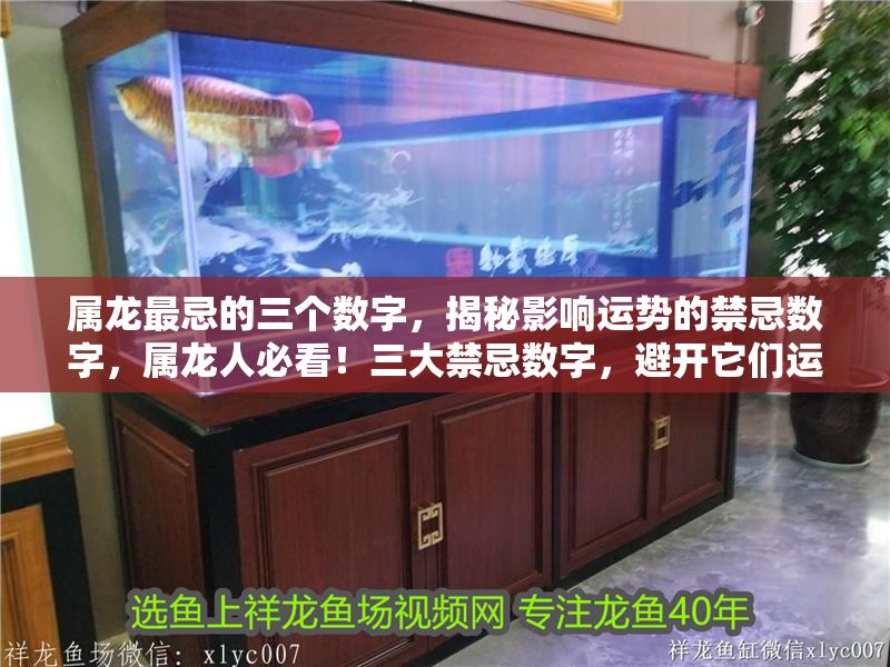 屬龍最忌的三個數(shù)字,揭秘影響運(yùn)勢的禁忌數(shù)字,屬龍人必看!三大禁忌數(shù)字,避開它們運(yùn)勢飆升! 龍魚百科 第1張 屬龍最忌的三個數(shù)字,揭秘影響運(yùn)勢的禁忌數(shù)字,屬龍人必看!三大禁忌數(shù)字,避開它們運(yùn)勢飆升! 屬龍最忌的三個數(shù)字,揭秘影響運(yùn)勢的禁忌數(shù)字,屬龍人必看!三大禁忌數(shù)字,避開它們運(yùn)勢飆升! 龍魚百科 第1張