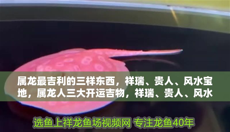 屬龍最吉利的三樣東西，祥瑞、貴人、風水寶地，屬龍人三大開運吉物，祥瑞、貴人、風水寶地助你龍騰四海