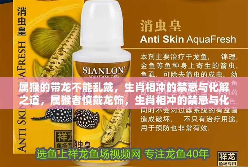 屬猴的帶龍不能亂戴，生肖相沖的禁忌與化解之道，屬猴者慎戴龍飾，生肖相沖的禁忌與化解方法全解析 屬猴的帶龍不能亂戴，生肖相沖的禁忌與化解之道，屬猴者慎戴龍飾，生肖相沖的禁忌與化解方法全解析 龍魚百科 第1張