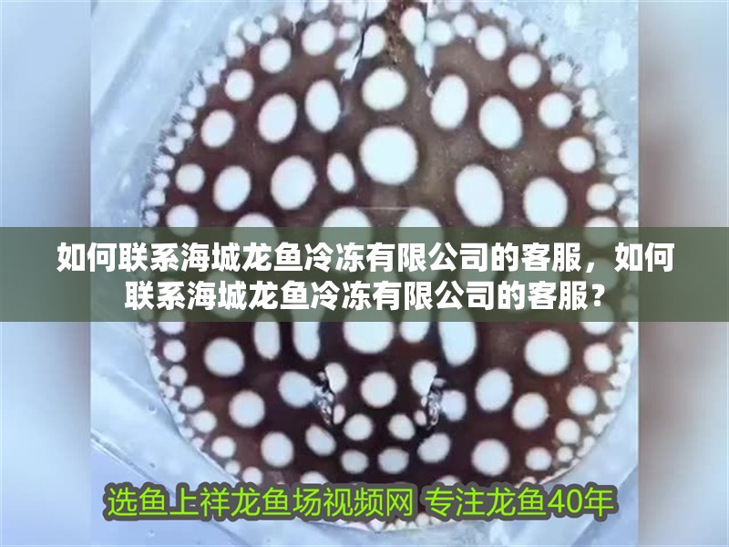 如何聯(lián)系海城龍魚(yú)冷凍有限公司的客服，如何聯(lián)系海城龍魚(yú)冷凍有限公司的客服？ 如何聯(lián)系海城龍魚(yú)冷凍有限公司的客服，如何聯(lián)系海城龍魚(yú)冷凍有限公司的客服？ 龍魚(yú)百科