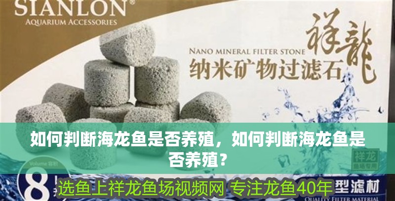 如何判斷海龍魚是否養殖，如何判斷海龍魚是否養殖？