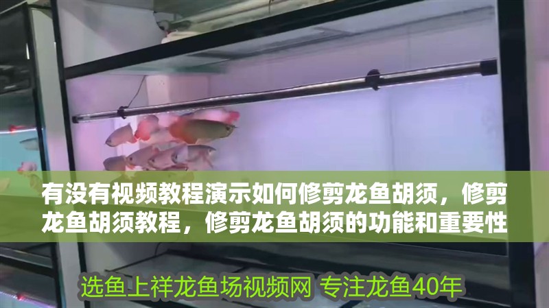 有沒有視頻教程演示如何修剪龍魚胡須，修剪龍魚胡須教程，修剪龍魚胡須的功能和重要性和重要性
