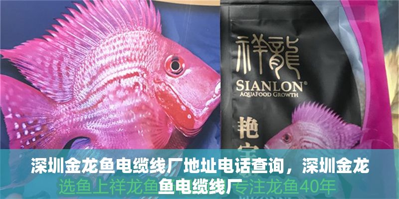 深圳金龍魚電纜線廠地址電話查詢，深圳金龍魚電纜線廠 深圳金龍魚電纜線廠地址電話查詢，深圳金龍魚電纜線廠 龍魚百科 第1張