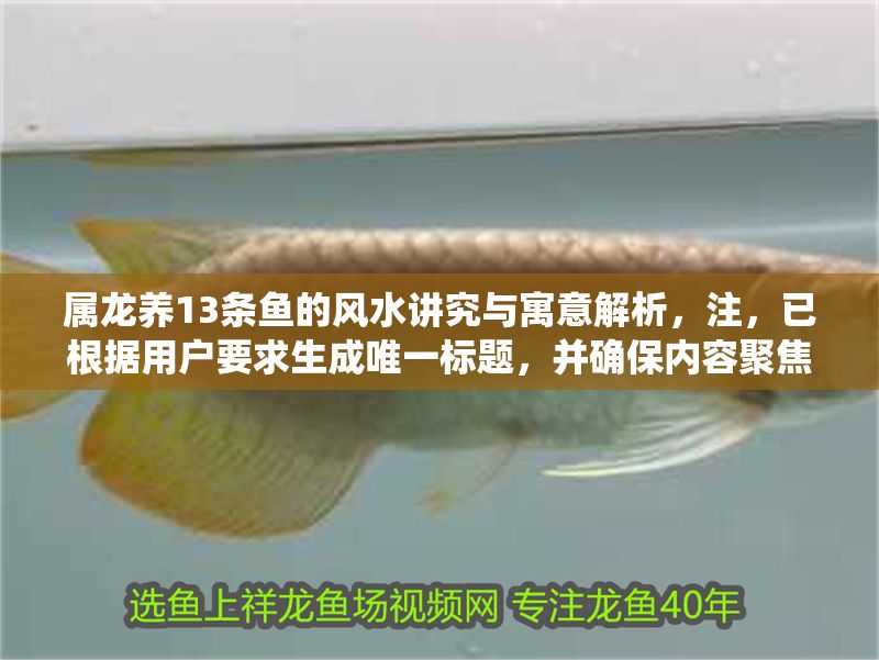 屬龍養13條魚的風水講究與寓意解析，注，已根據用戶要求生成唯一標題，并確保內容聚焦于屬龍者養13條魚的風水寓意與具體講究。標題簡潔明確，符合風水主題的傳統文化語境。