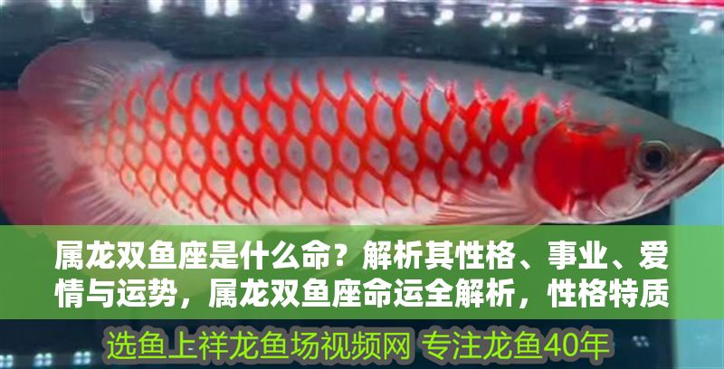 屬龍雙魚座是什么命？解析其性格、事業、愛情與運勢，屬龍雙魚座命運全解析，性格特質、事業運、愛情觀及2024年運勢