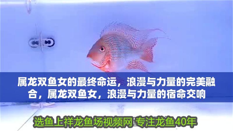 屬龍雙魚女的最終命運，浪漫與力量的完美融合，屬龍雙魚女，浪漫與力量的宿命交響