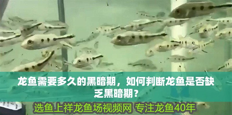 龍魚需要多久的黑暗期，如何判斷龍魚是否缺乏黑暗期？