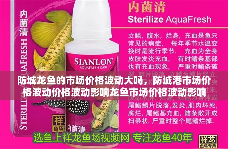防城龍魚的市場價格波動大嗎，防城港市場價格波動價格波動影響龍魚市場價格波動影響