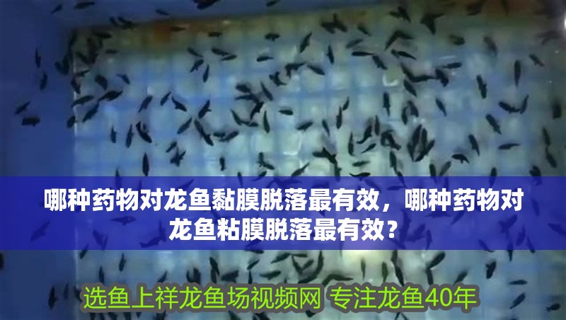 哪種藥物對龍魚黏膜脫落最有效，哪種藥物對龍魚粘膜脫落最有效？ 哪種藥物對龍魚黏膜脫落最有效，哪種藥物對龍魚粘膜脫落最有效？ 龍魚百科