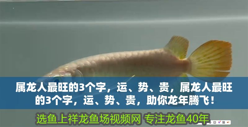 屬龍人最旺的3個字，運、勢、貴，屬龍人最旺的3個字，運、勢、貴，助你龍年騰飛！