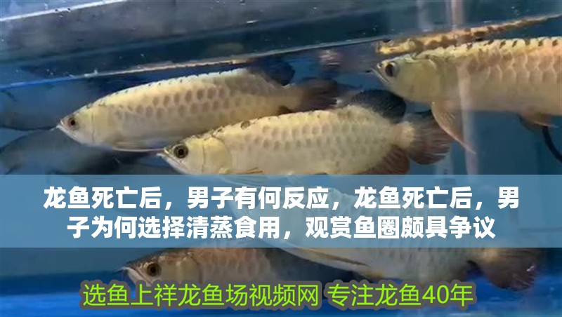 龍魚死亡后，男子有何反應(yīng)，龍魚死亡后，男子為何選擇清蒸食用，觀賞魚圈頗具爭議