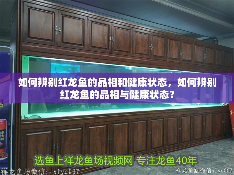 如何辨別紅龍魚的品相和健康狀態(tài)，如何辨別紅龍魚的品相與健康狀態(tài)？