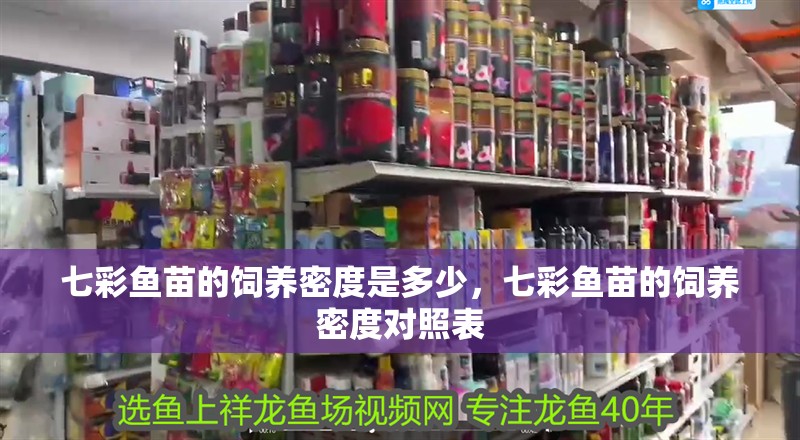 七彩魚苗的飼養密度是多少，七彩魚苗的飼養密度對照表