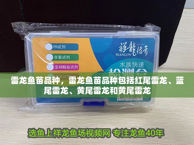 雷龍魚苗品種，雷龍魚苗品種包括紅尾雷龍、藍尾雷龍、黃尾雷龍和黃尾雷龍