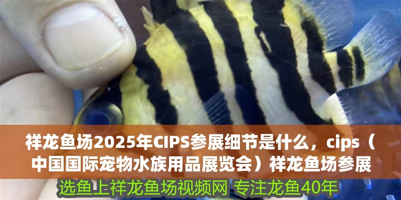 祥龍魚場2025年CIPS參展細節是什么，cips（中國國際寵物水族用品展覽會）祥龍魚場參展細節