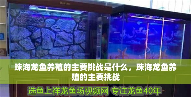 <strong><mark>珠海</mark></strong>龍魚養(yǎng)殖的主要挑戰(zhàn)是什么，<strong><mark>珠海</mark></strong>龍魚養(yǎng)殖的主要挑戰(zhàn)