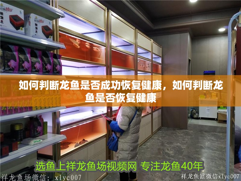 如何判斷龍魚(yú)是否成功恢復(fù)健康，如何判斷龍魚(yú)是否恢復(fù)健康