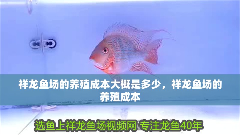 祥龍魚場的養殖成本大概是多少，祥龍魚場的養殖成本