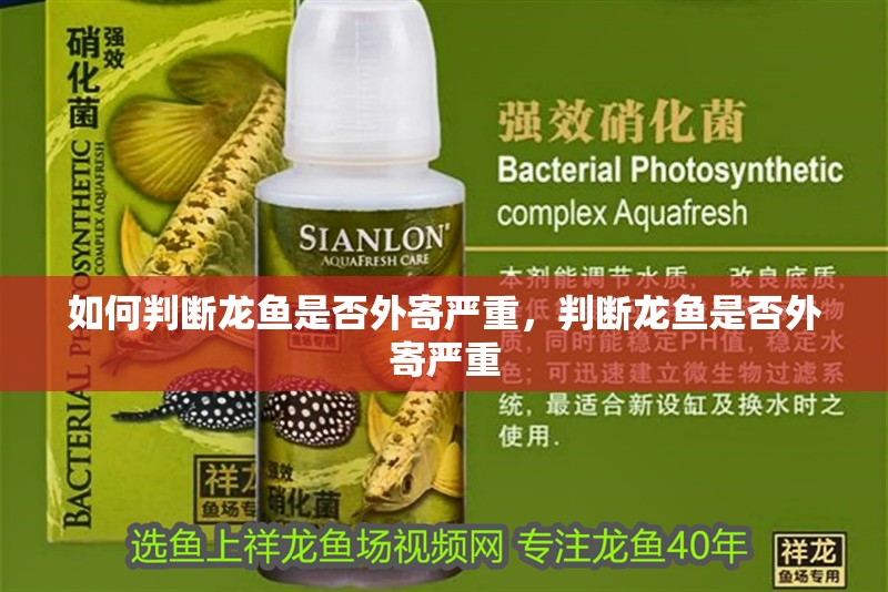 如何判斷龍魚(yú)是否外寄嚴(yán)重，判斷龍魚(yú)是否外寄嚴(yán)重