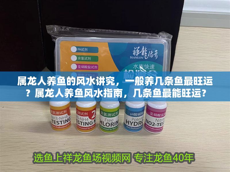 屬龍人養魚的風水講究，一般養幾條魚最旺運？屬龍人養魚風水指南，幾條魚最能旺運？
